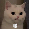 提灯小僧