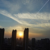 2420149627影子