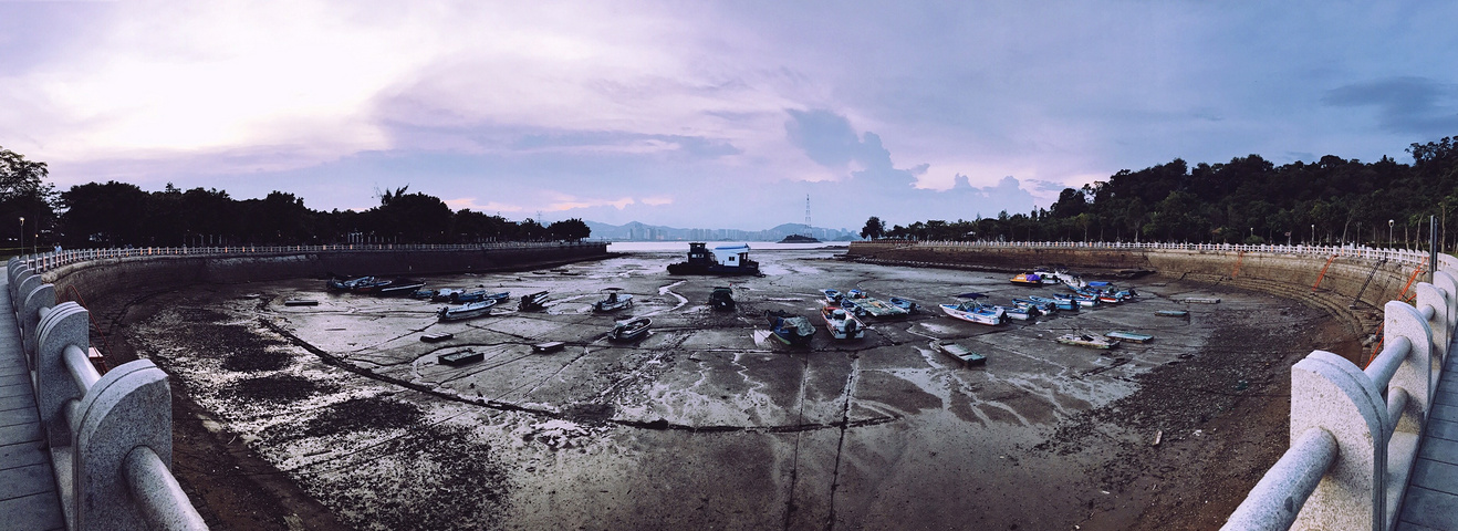 鼓浪屿有约吗