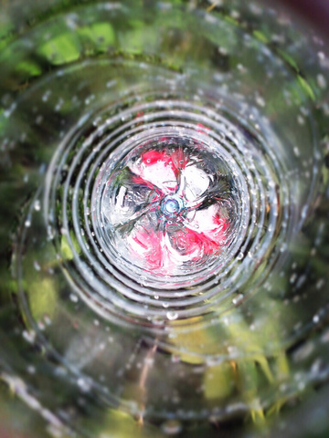花    瓶