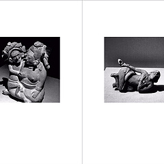 编号：11092018

《自然的力量》

古代玛雅文化展/深圳博物馆
