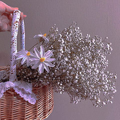 “手里能捧花吗”
“玫瑰可以吗”
“下次见有花吗”
“满天星可以吗”