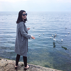 吃饼干的海鸥～