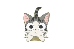 cat